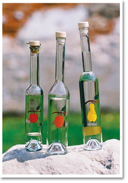 schnaps.jpg